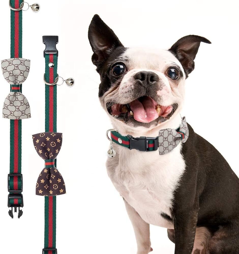 Gucci Dog Harness 